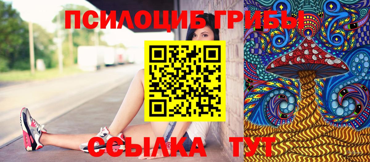МЕФ Ливны